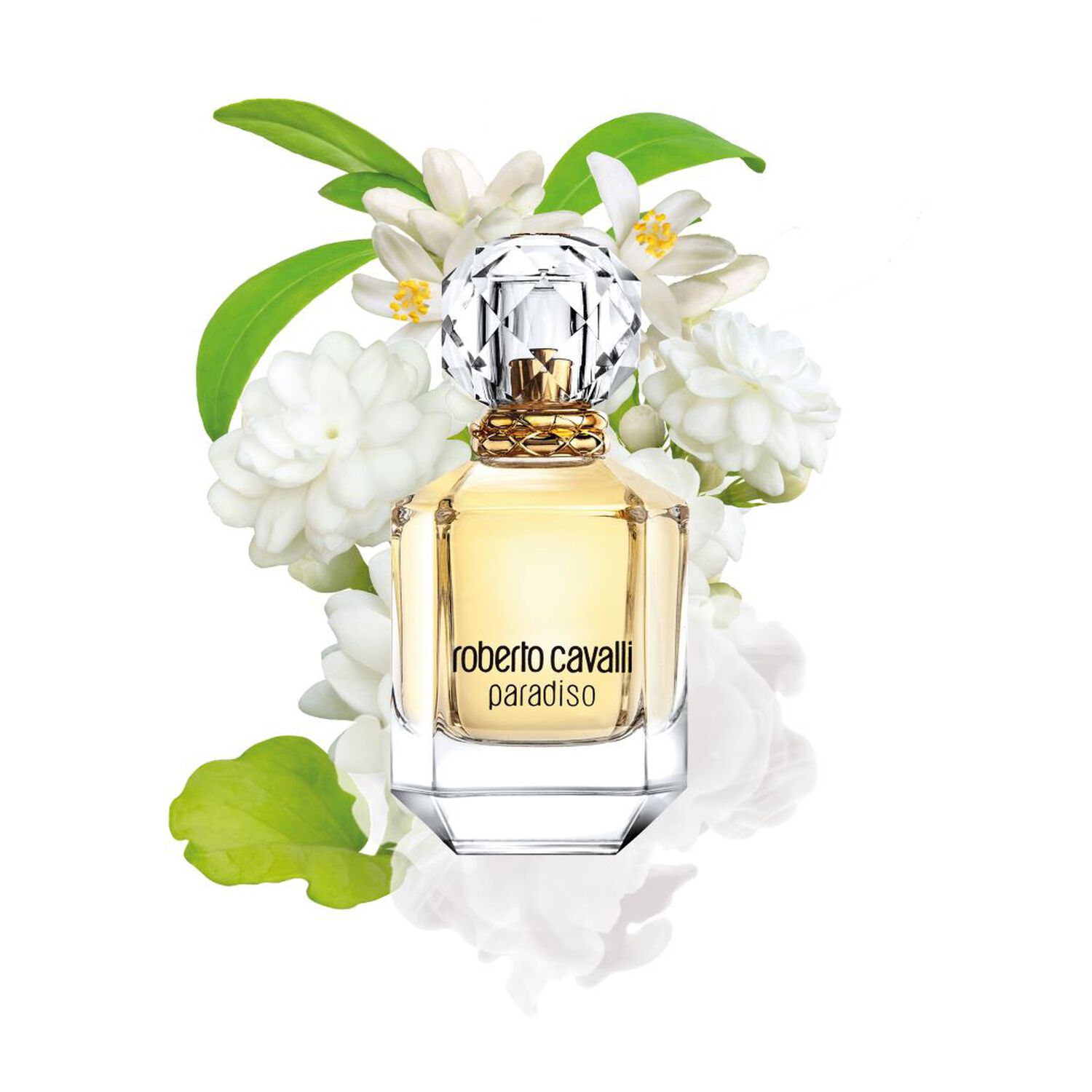 Paradiso - Eau de Parfum 75 ml