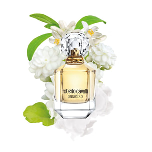 Paradiso - Eau de Parfum 75 ml