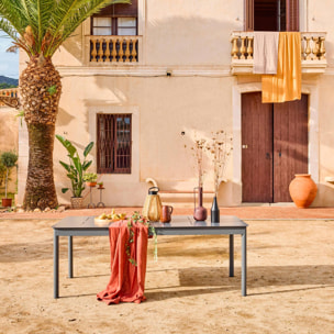 Table de jardin extensible aluminium 8 places CHARLESTON