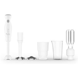Mixeur MOULINEX DDG25110 Marie + 4 accessoires