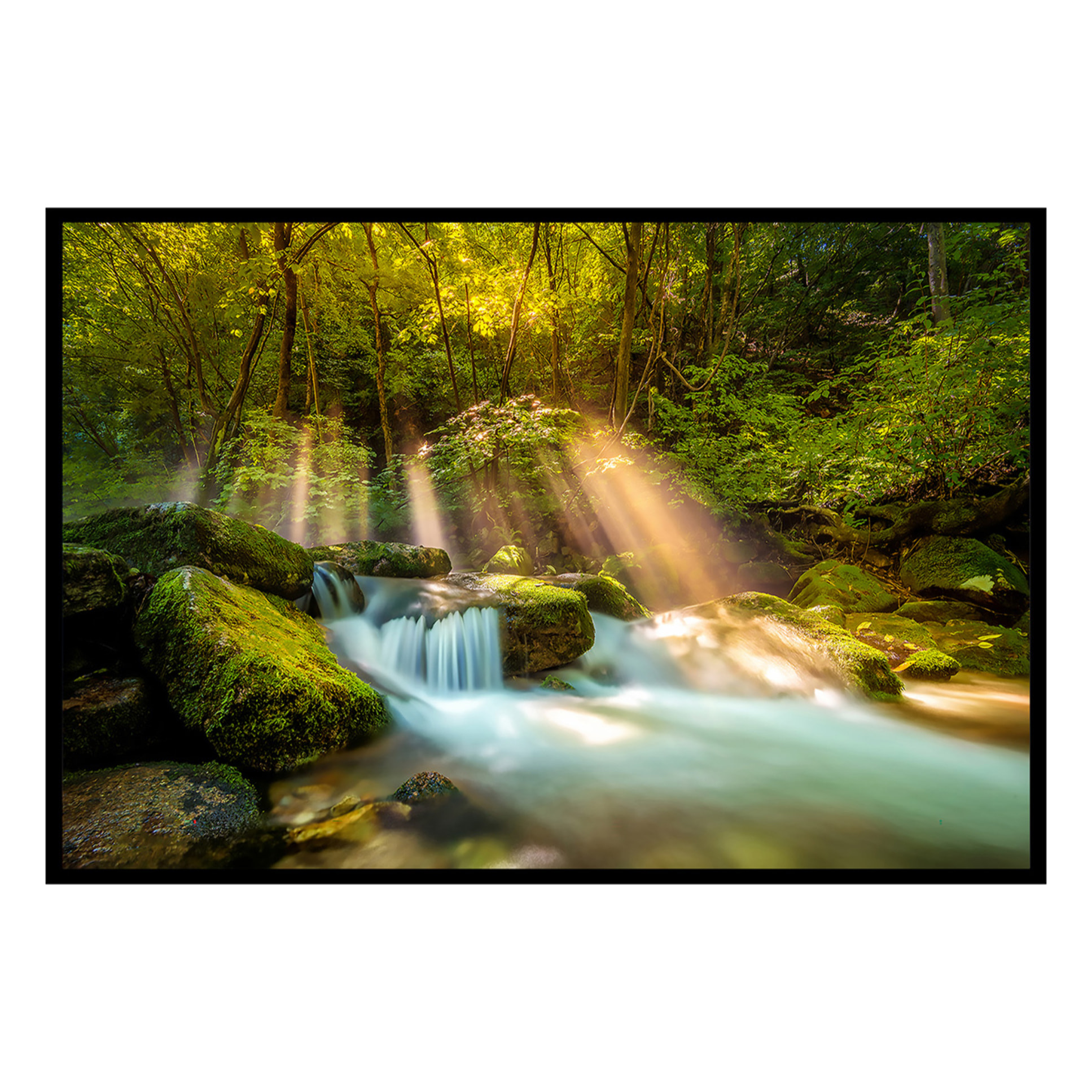 Affiche encadrée ruisseau en forêt baigné de lumière Affiche + cadre en métal - Noir