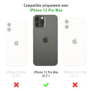 Coque iPhone 12 Pro Max Antichoc Silicone + 2 Vitres en verre trempé