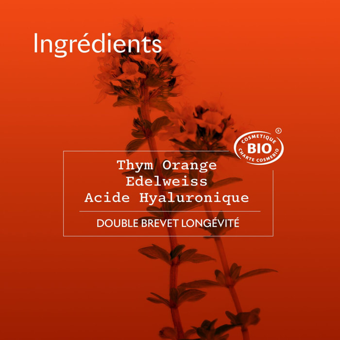 Reine - Crème de Nuit Anti-Âge Global 50 ml