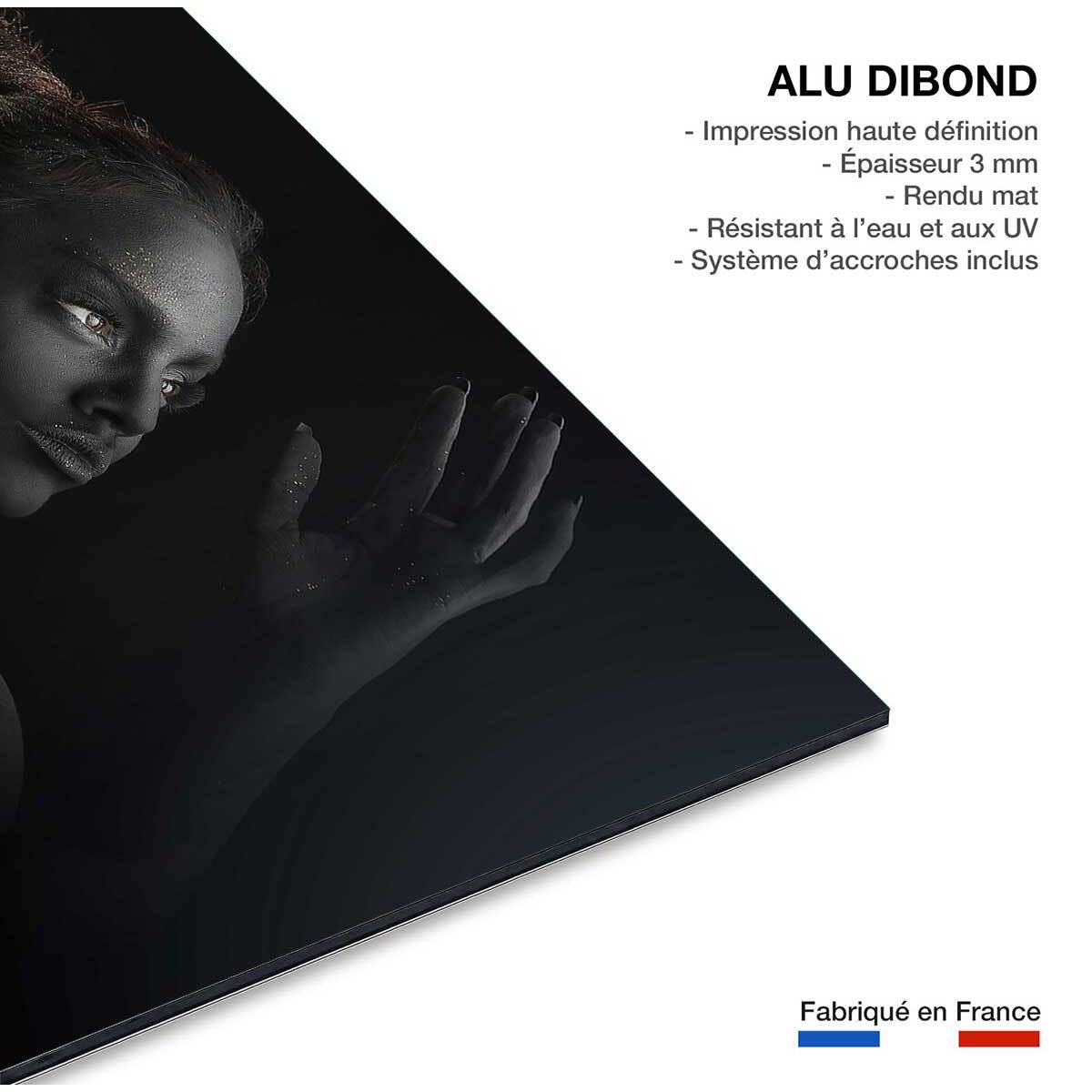 Tableau d'art sofia Tableau alu Dibond