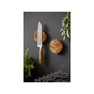 Magnet à couteaux
