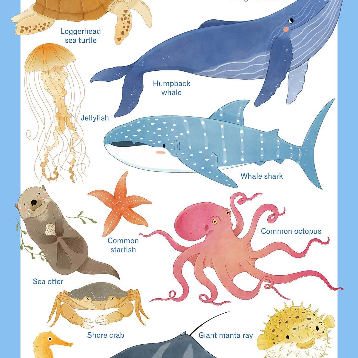 Affiche enfant animaux marins  Affiche sous cadre noir