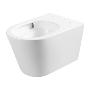 Vortex rimless WC suspendu 53,5 cm sans bride avec abattant SoftClose, effet Vortex, blanc brillant (CE142010RTORP)