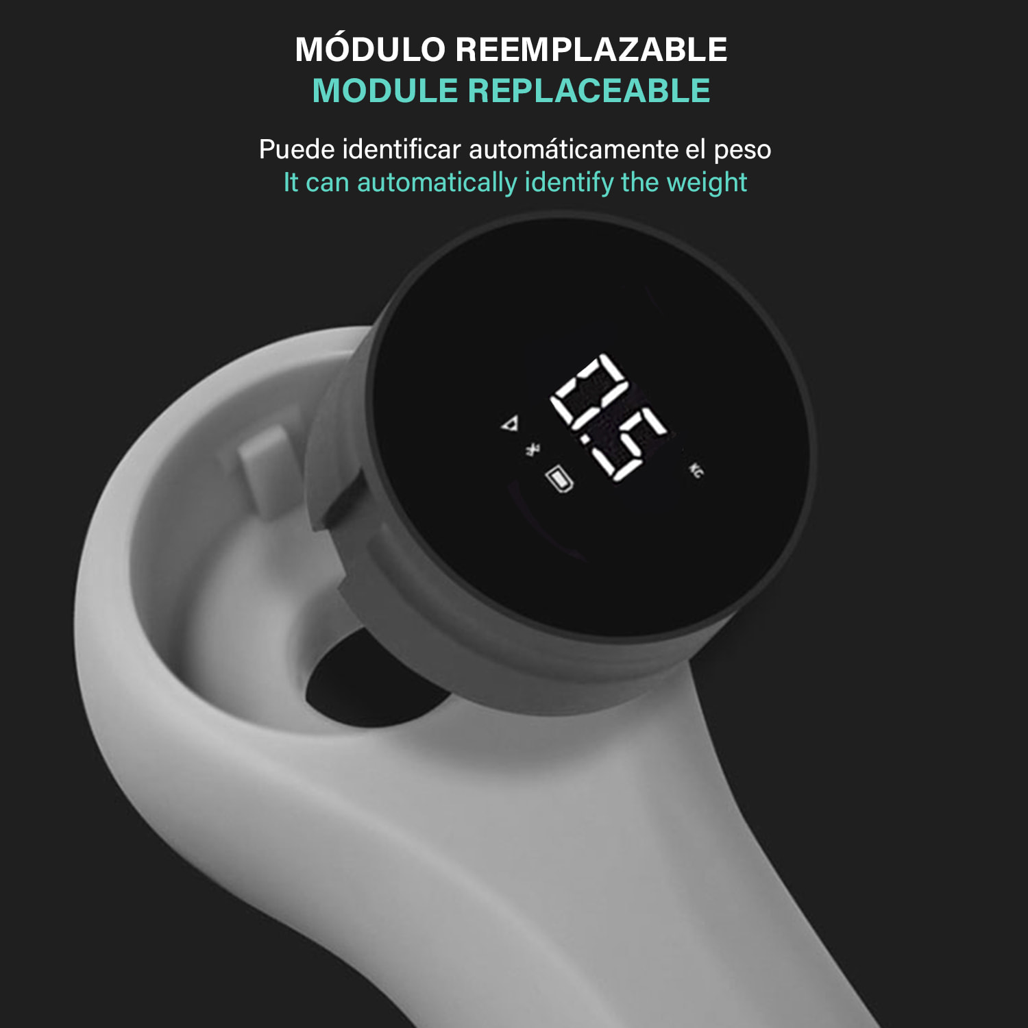 Dumbbell intelligenti da 0,5Kg, con applicazione di registrazione. Strumento di fitness intelligente.