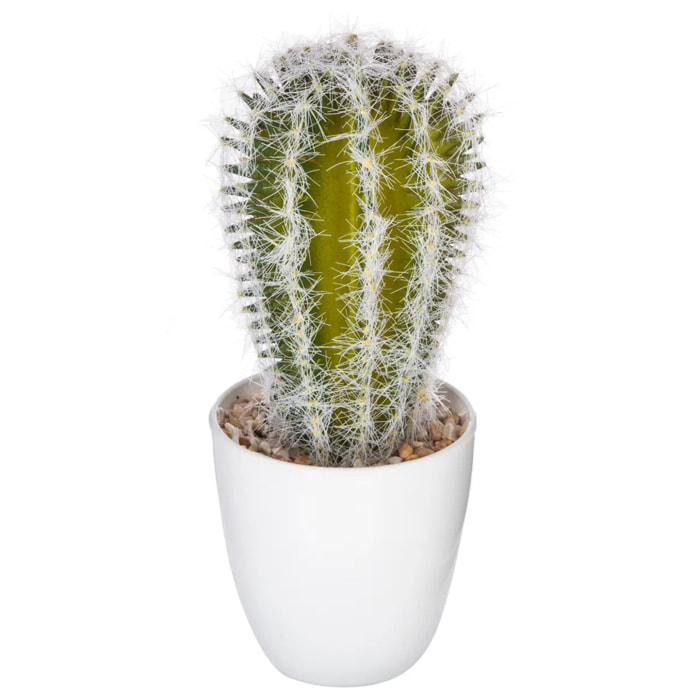 Plante succulente & cactus H18cm