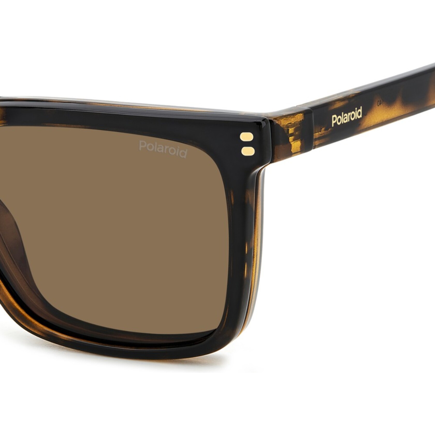 Gafas de Vista Polaroid PLD D556/C 086 Polarizadas de Tr90 Unisex 54 mm
