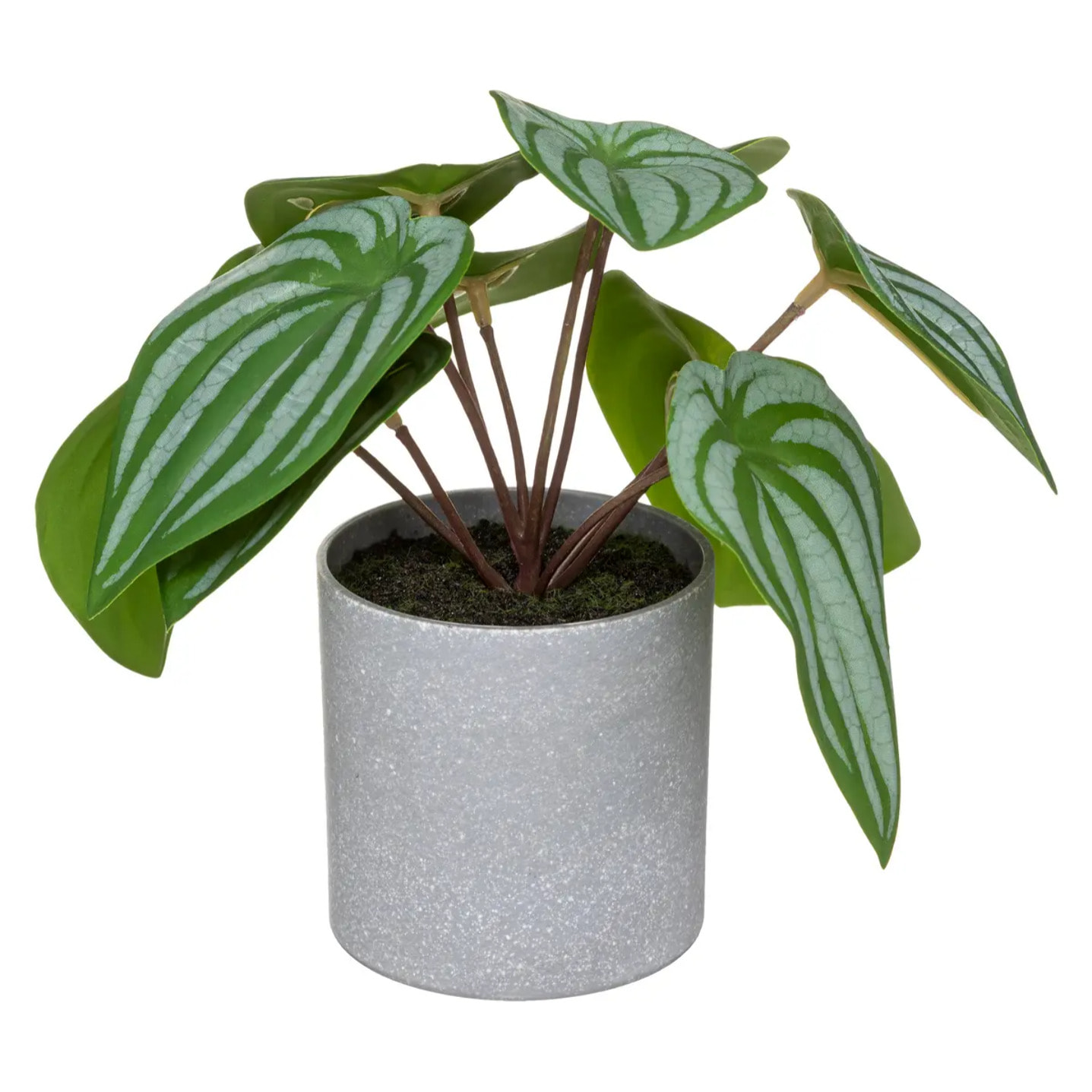 Plante artificielle pot mélamine H18cm