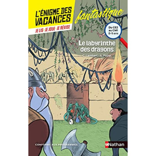 Lambert, Christophe | L'énigme des vacances - Le labyrinthe des dragons - Un roman-jeu pour réviser les principales notions du programme - CE2 vers CM1 - 8/9 ans: Du CE au CM1 | Livre d'occasion