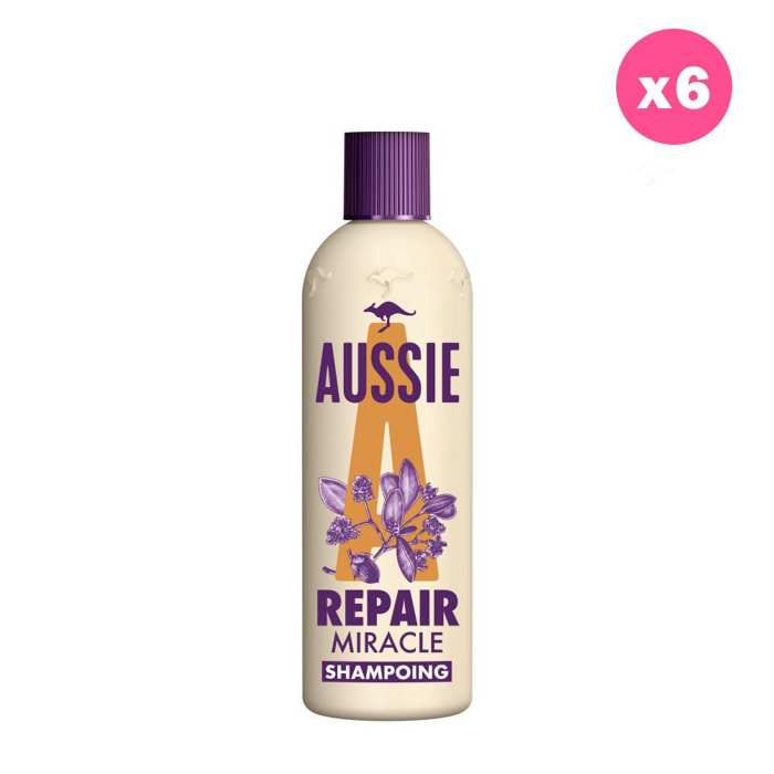 6 Shampoings Repair 300ml, Aussie