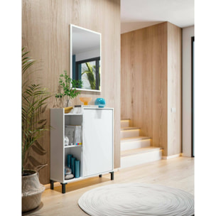 Mobile sottolavabo Argusto, Mobiletto da bagno, Contenitore porta lavabo, Armadio per lavandino, 77x24 h91 cm, Bianco