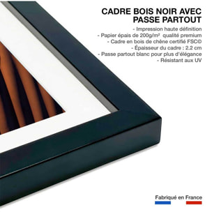 Affiche L'arbre sur la dune, Namibie Affiche sous cadre noir