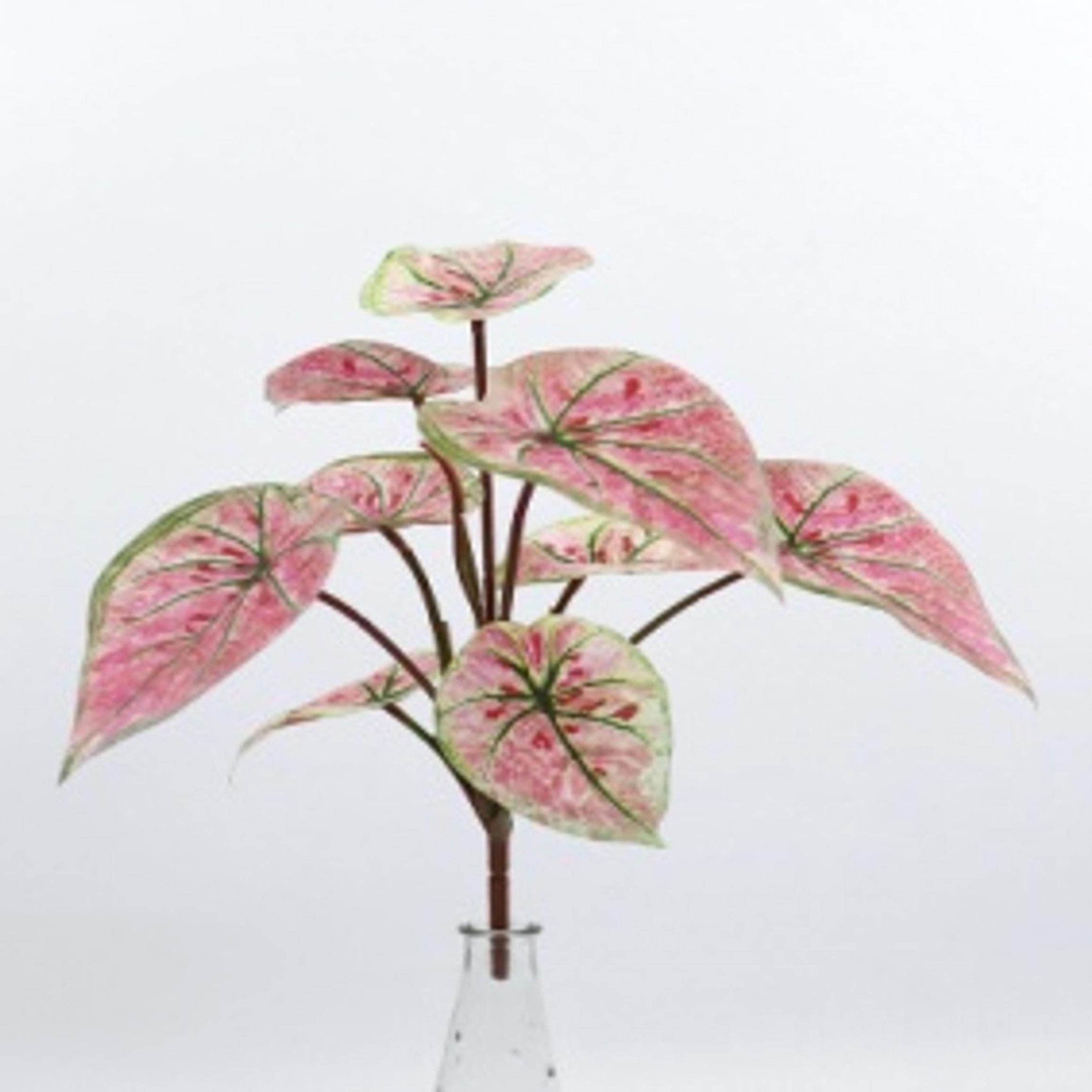 Syngonium 31 Cm Per 9 Real Touch - Pezzi 6 - 23X31X23cm - Colore: Rosa - Bianchi Dino - Piante Artificiali