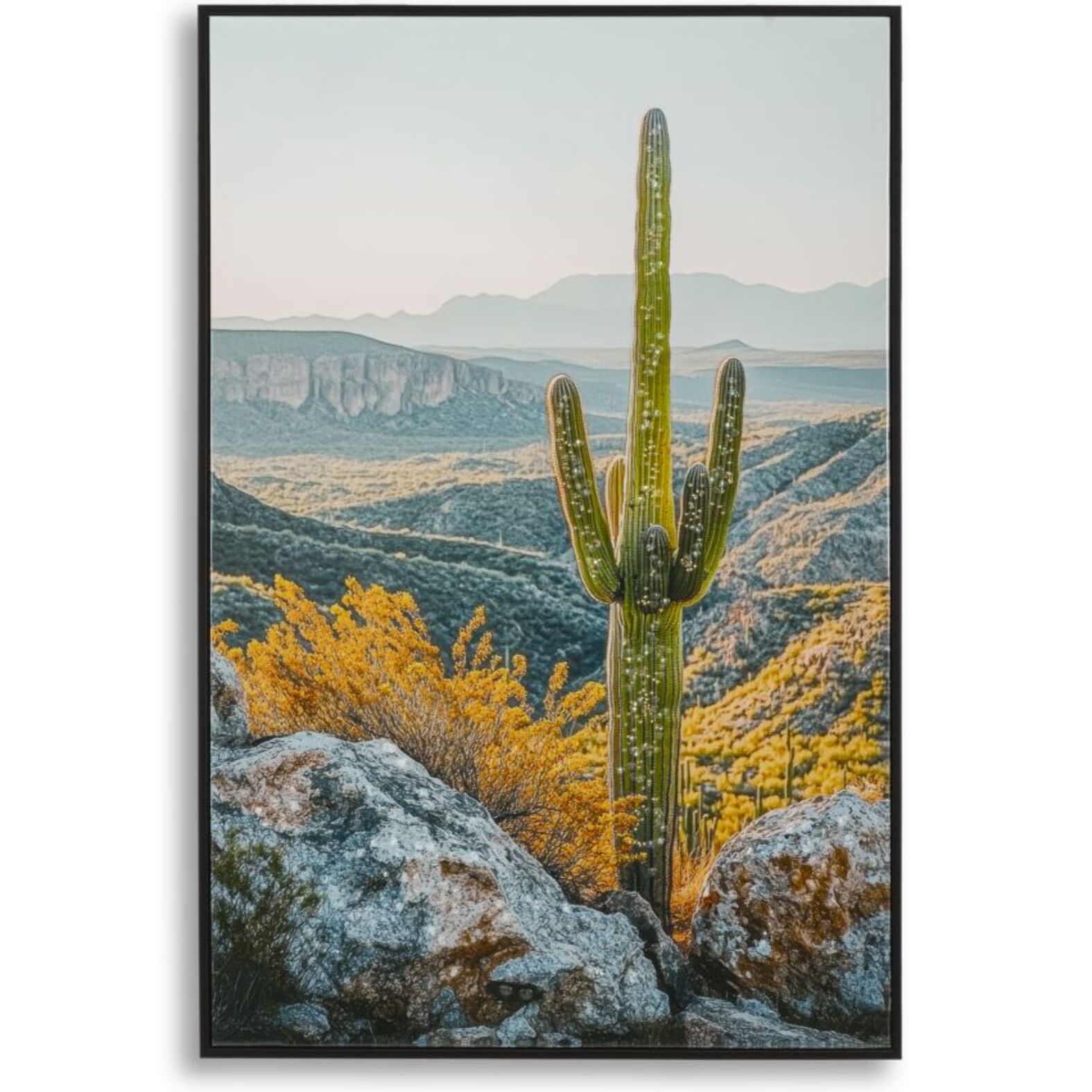 STAMPA SU TELA LACCATA C/CORNICE CACTUS -B- CM 60X4X90