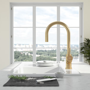 Robinet cuisine VILLEROY ET BOCH Umbrella flex
