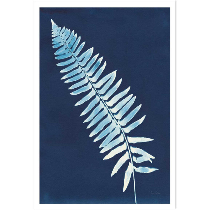 Affiche Fougère bleue Affiche seule