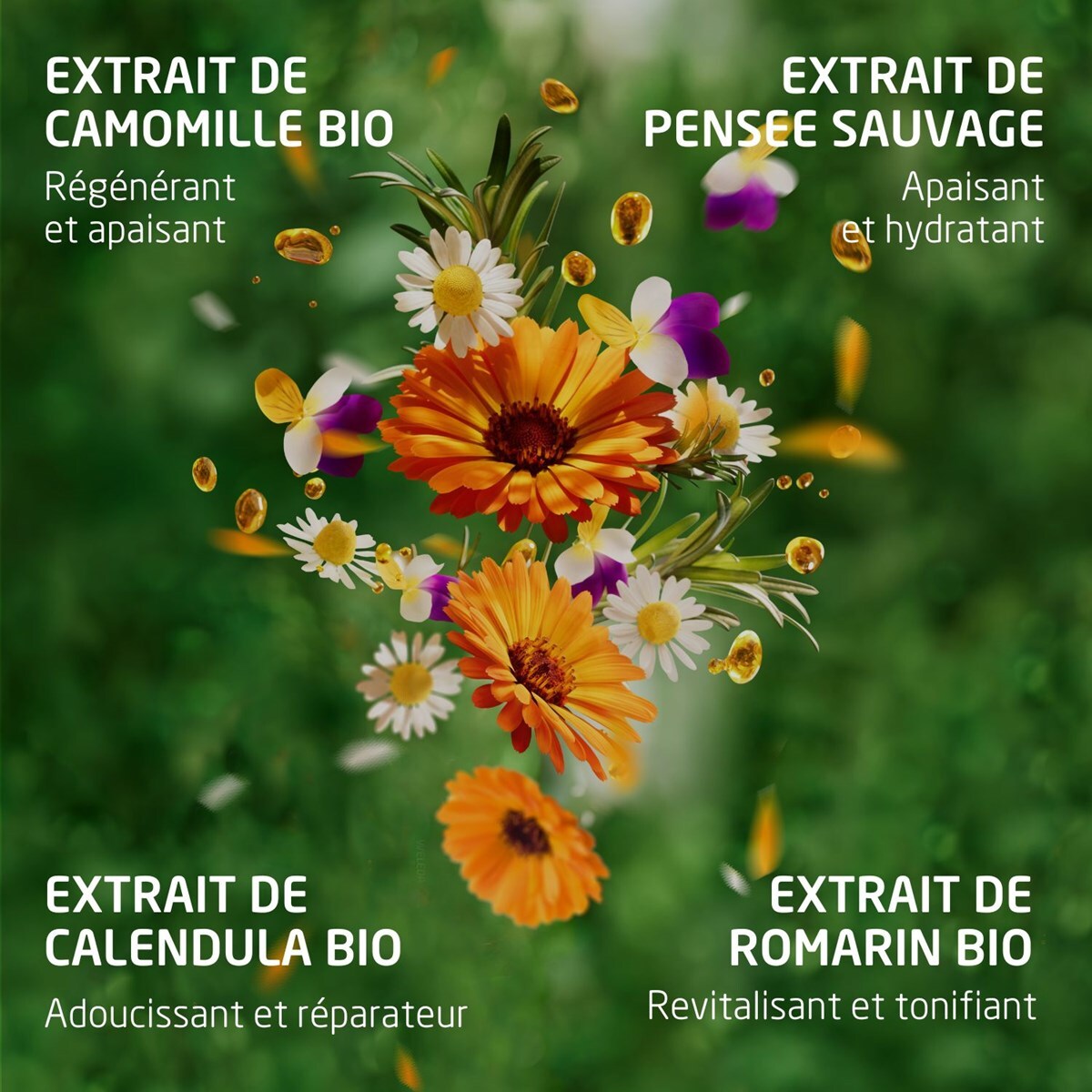 WELEDA - Skin Food Crème de Jour nourrissante + Crème de Nuit nourrissante + Gel-en-huile nettoyant - Pour les peaux sèches - Hydrate immédiatement et nourrit instantanément  - Natrue* - Vegan*** - 2x40 ml + 75ml