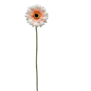 Fiori Di Gerbera. Altezza 63 Cm - Pezzi 12 - 10,5X63X10,5cm - Colore: Rosa - Bianchi Dino - Fiori Artificiali