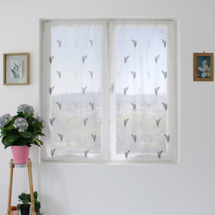 Paire de petits voilages aux broderies bicolores - Gris clair