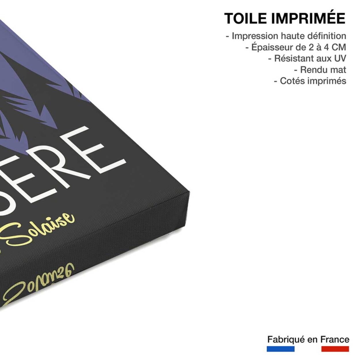 Tableau ski à val d'isère Toile imprimée