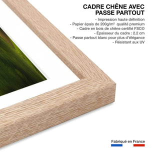 Affiche Colline USA Affiche + cadre en bois - Chêne