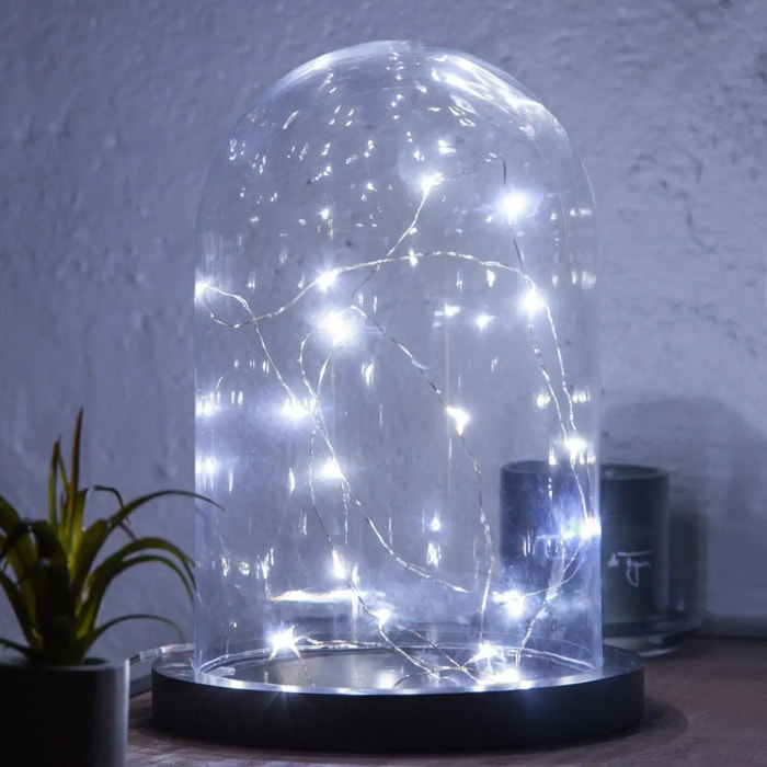Guirlande "Anya" 20 microLED à pile argent blanc froid L190cm