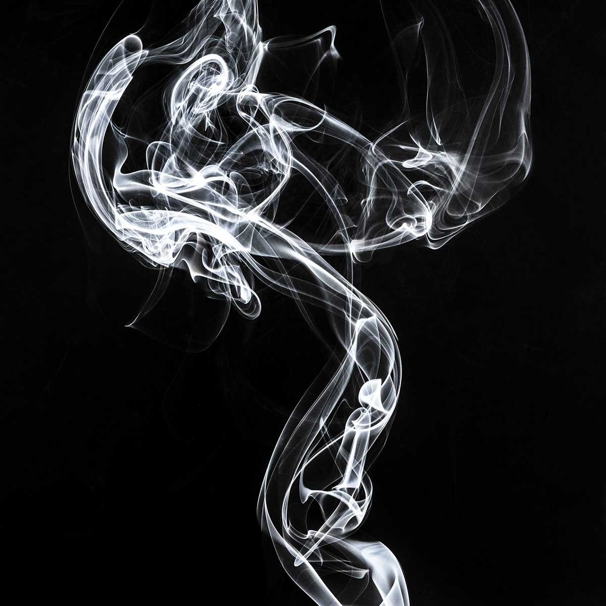 Tableau  white smoke medusa Tableau alu Dibond
