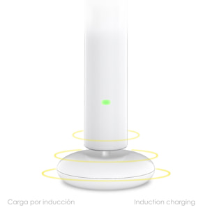 Cepillo de dientes eléctrico con batería recargable y cabezal. Carga inalámbrica inductiva.
