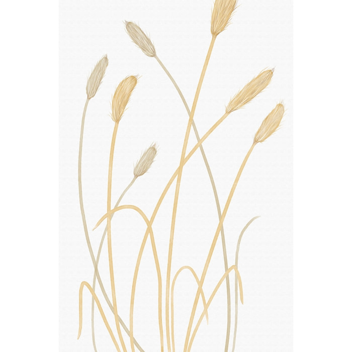 Tableau scandi blés 2 Toile imprimée
