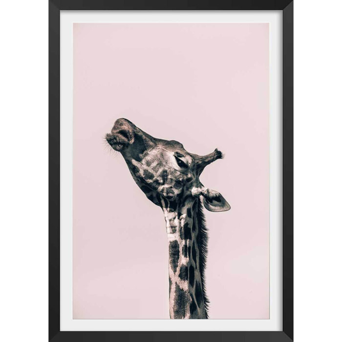 Affiche girafe ma reine Affiche + cadre en bois - Noir