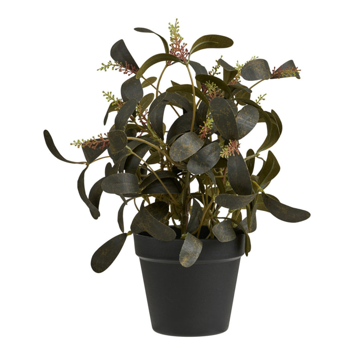 Pianta artificiale tipo eucalipto in vaso nero 35 cm