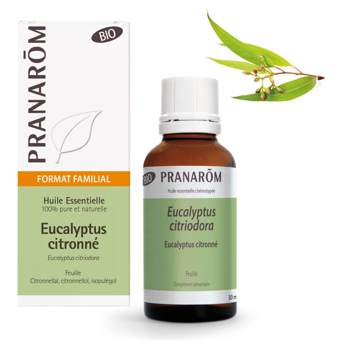 Pranarom - Huile Essentielle d'Eucalyptus citronné - grand format - Bio - 30 ml