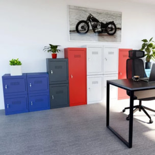 Casier cubique sécurisé CL0344RRK
