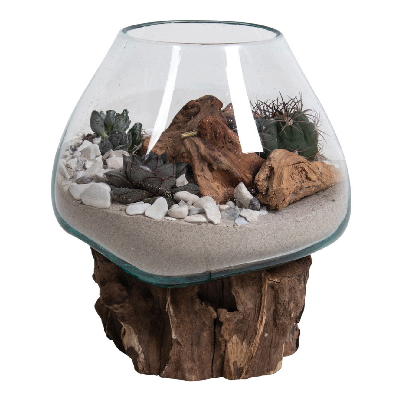Terrario San Marino in vetro a cupola su base in radice di teak 18x20 cm