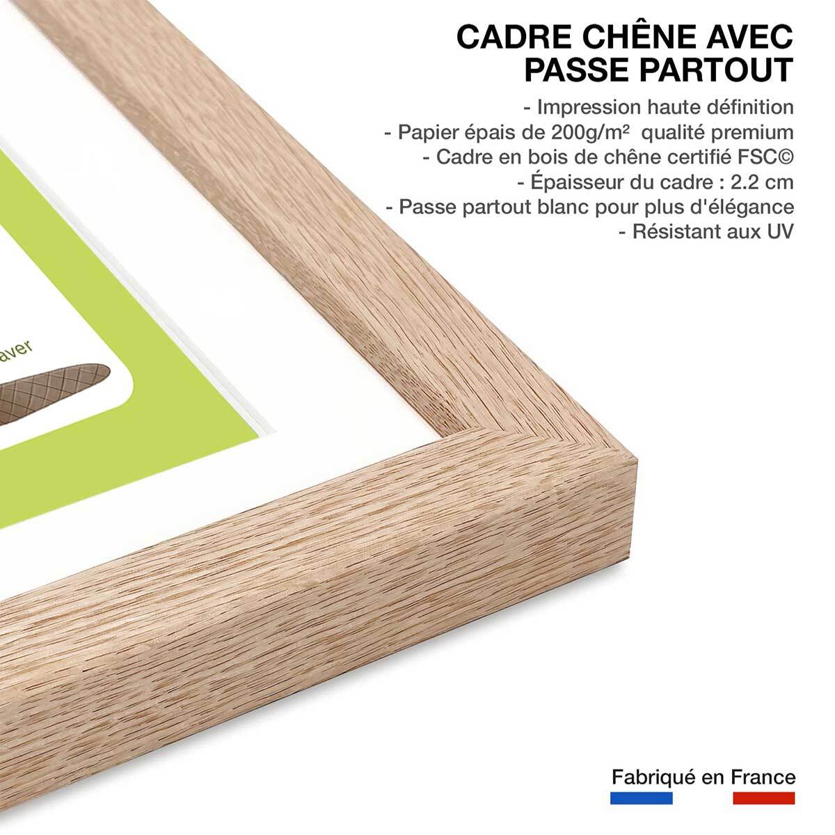 Affiche enfant animaux d'europe  Affiche + cadre en bois - Chêne
