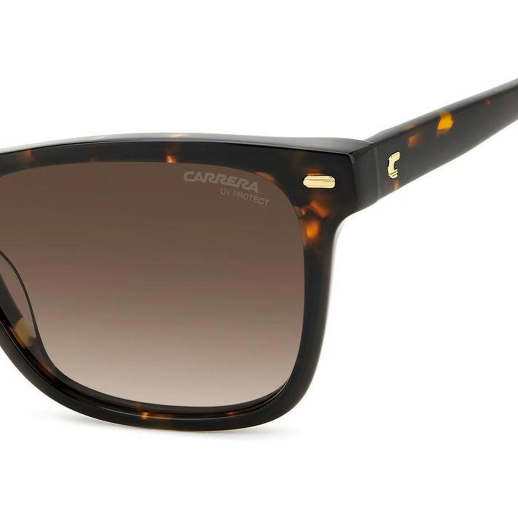 Gafas de Sol Carrera 3001/S 086 de Acetato Mujer 54 mm