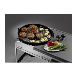 Grille barbecue WEBER de saisie Gourmet BBQ System GBS