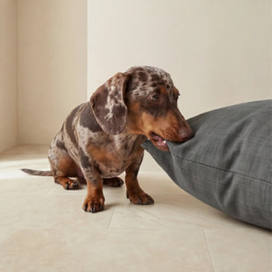 Lit pour animaux déhoussable et antitaches 0120-42
