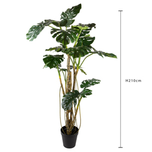 Monstera real touch - Pezzi 1 - Colore: Verde - Bianchi Dino