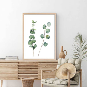 Affiche nature aquarelle feuille d' eucalyptus Affiche + cadre en bois - Chêne