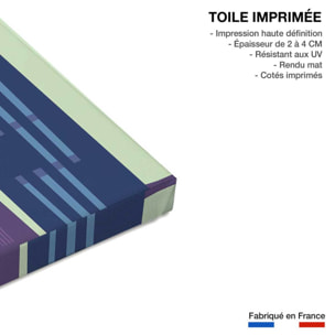 Tableau king- kong Toile imprimée