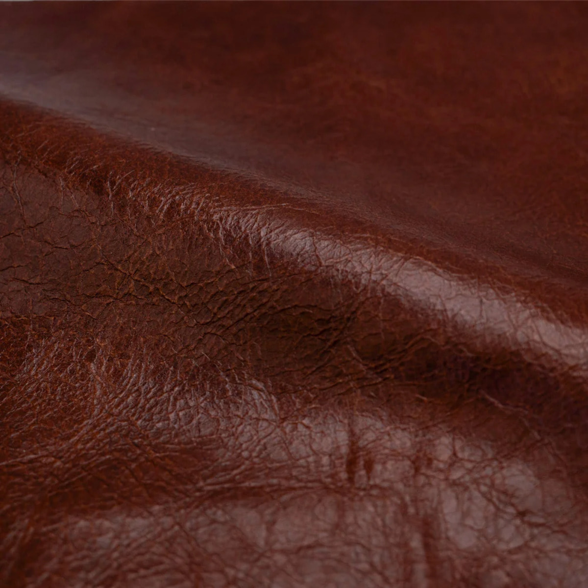 Lot de 2 chaises en cuir de buffle marron rouge - Célestin