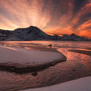 Affiche paysage Golden sunset Affiche seule