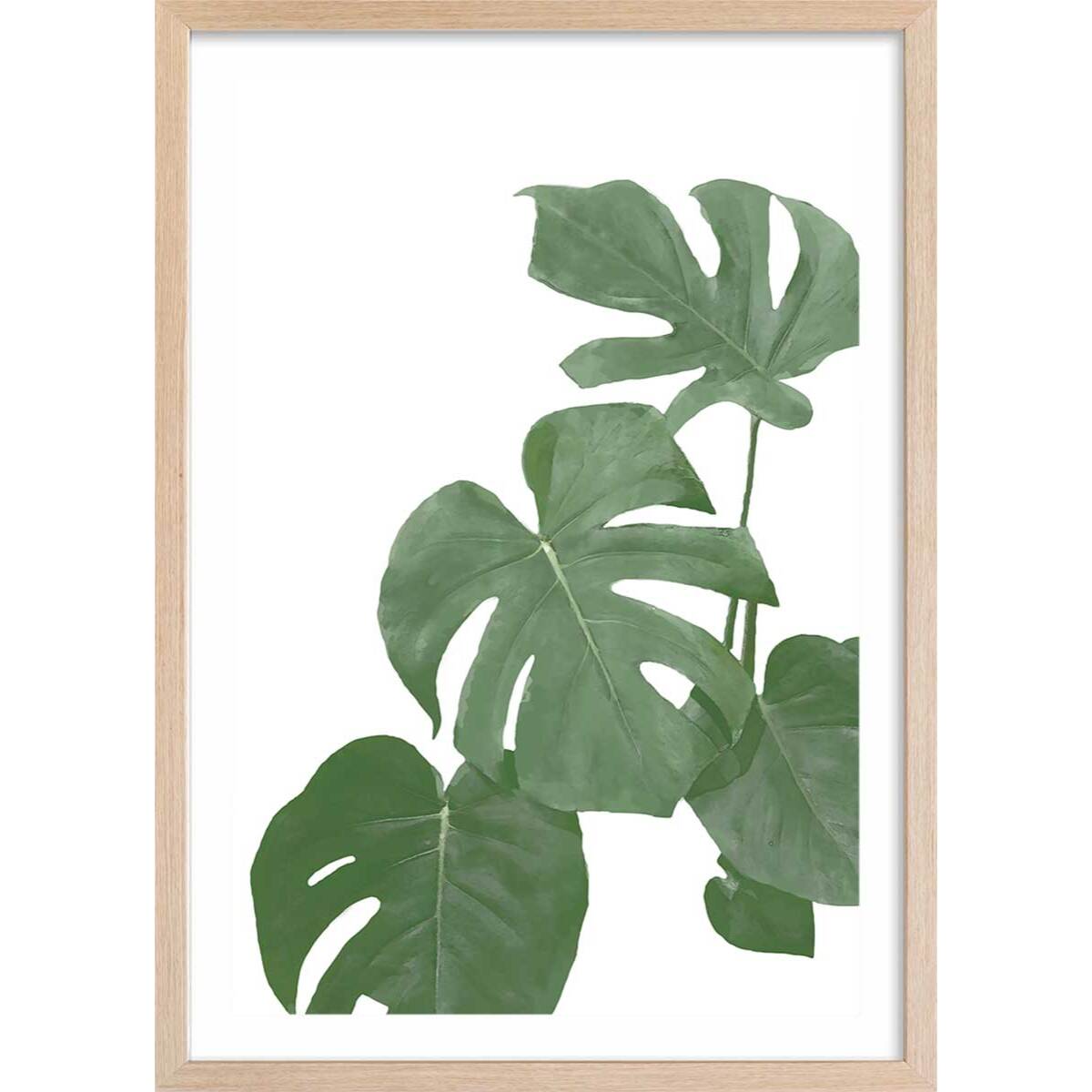 Affiche Feuilles de Monstera Affiche + cadre en bois - Chêne