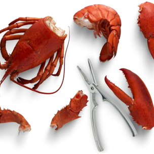 Set de 2 ustensiles de cuisine pinces à crustacés Fackelmann Spécialités Culinaires