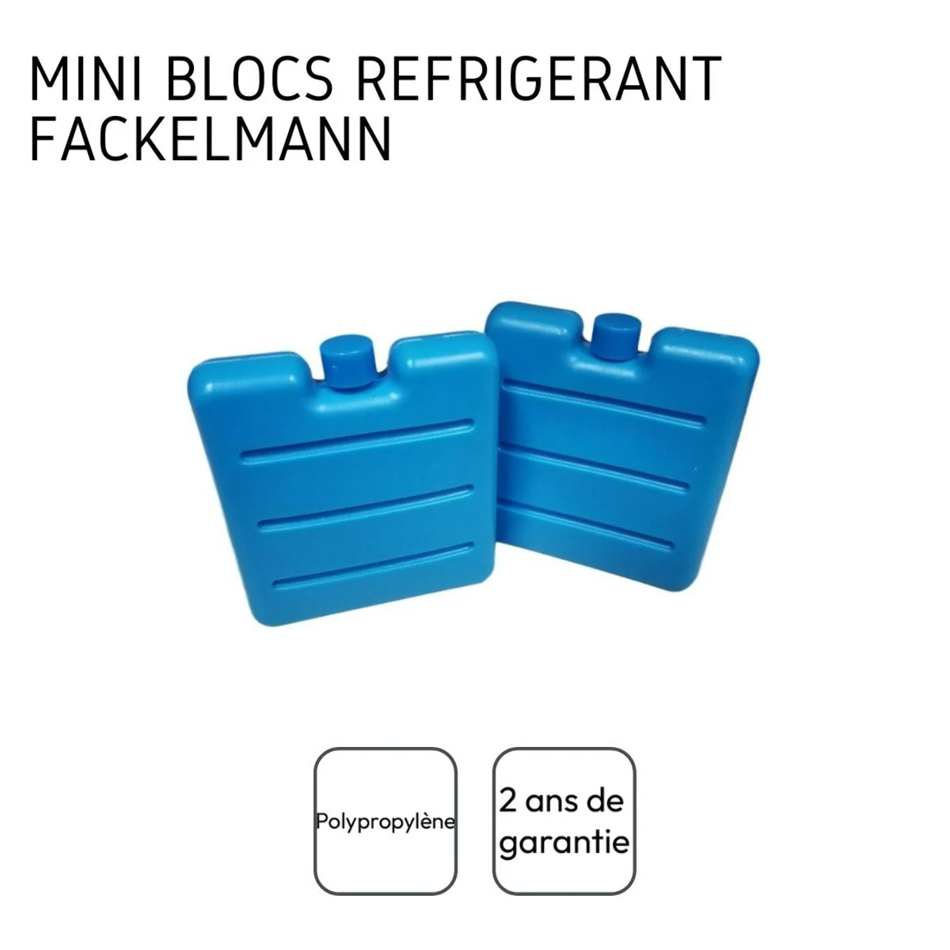 Lot de 2 pains de glace pour glacière et lunch bag Fackelmann