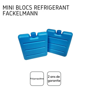 Lot de 2 pains de glace pour glacière et lunch bag Fackelmann